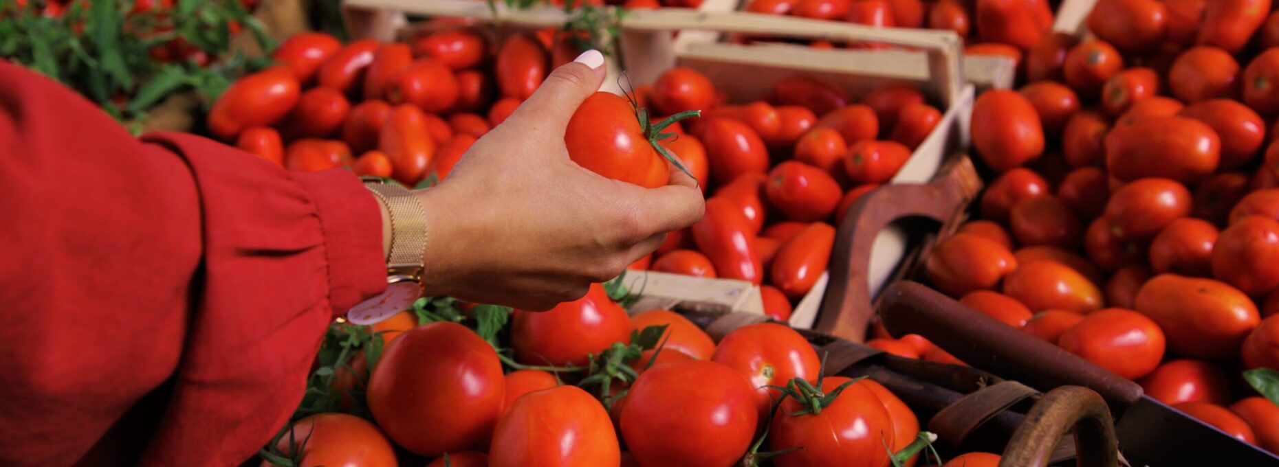 Inspiratie is tomatensaus gezond Grand'Italia