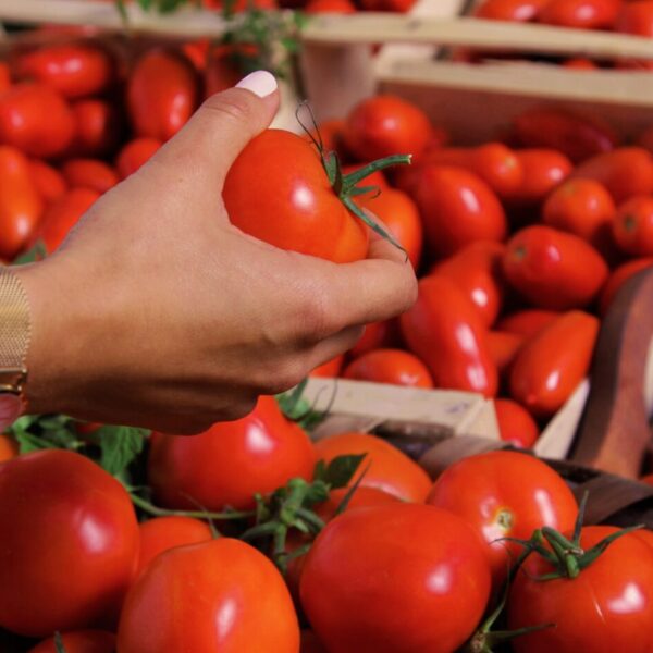 Inspiratie is tomatensaus gezond Grand'Italia